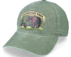 Yellowstone Trailhead Canopy Dad Cap - American Needle